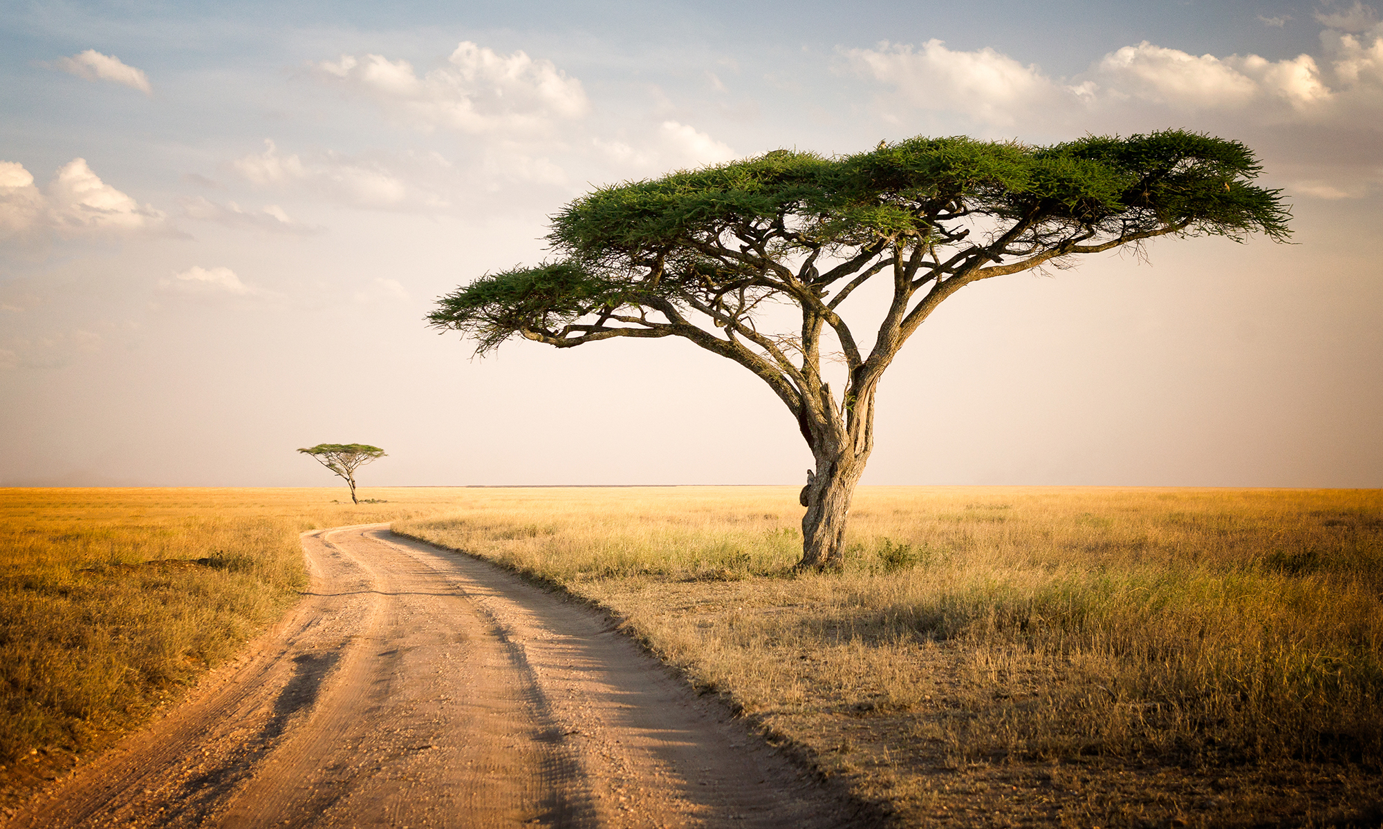 African Journey – Tanzania